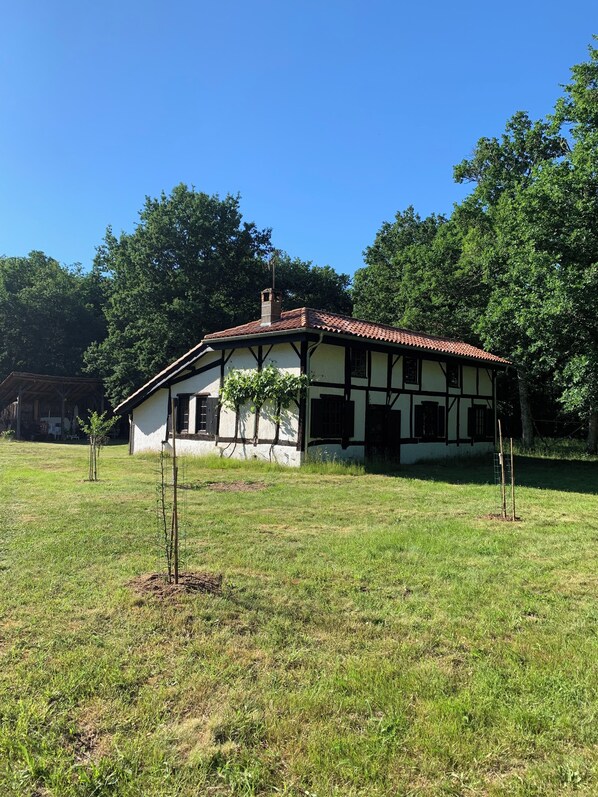 Exteriör