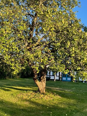 Boendeområde