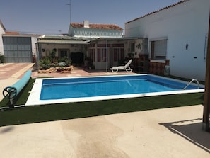 Newly installed grass