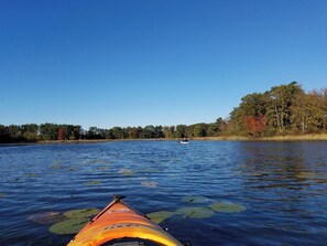 We offer 2 kayaks. This one has been replaced.  Sandy launch area nearby. Weeds!