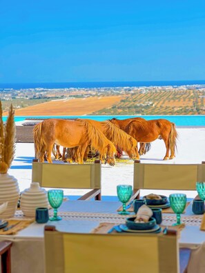 Restaurang utomhus