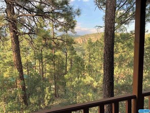 View from the deck