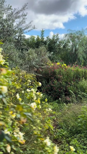 Boendeområde