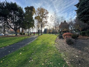 Direct Access to Communicty Park from Backyard