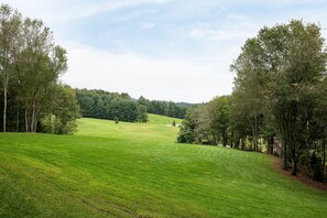 Pastoral Setting