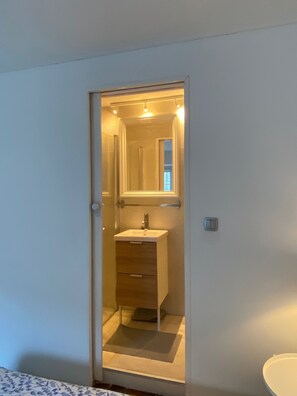 ensuite shower room in blue bedroom