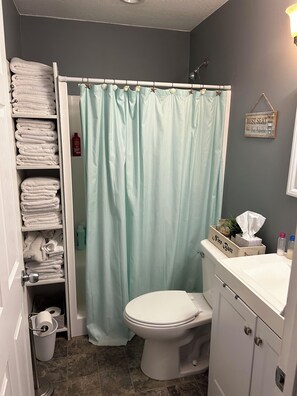 Bath #2 with sink, shower and toilet