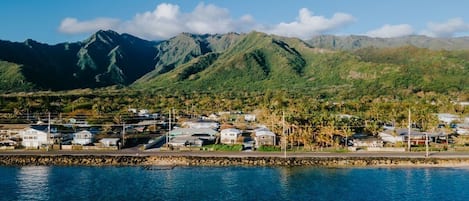 Mountain to the Ocean