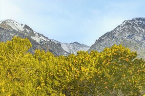 Mountain Views