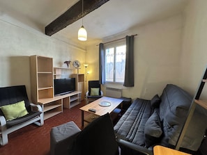 séjour, canapé convertible, TV, rangements, ventilateur, chaises (1)