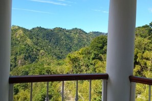 View From the Balcony