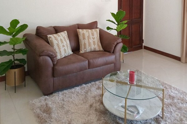 Living Room Area