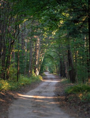 Drive at Scenic Drive Resort