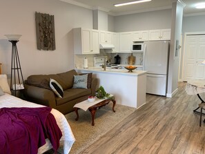 102A Living Area + Sofa Bed
