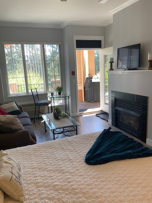 102B Fireplace