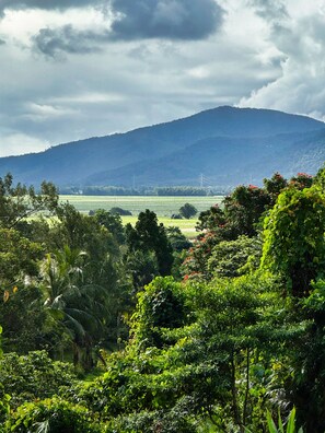 View from Balcony.