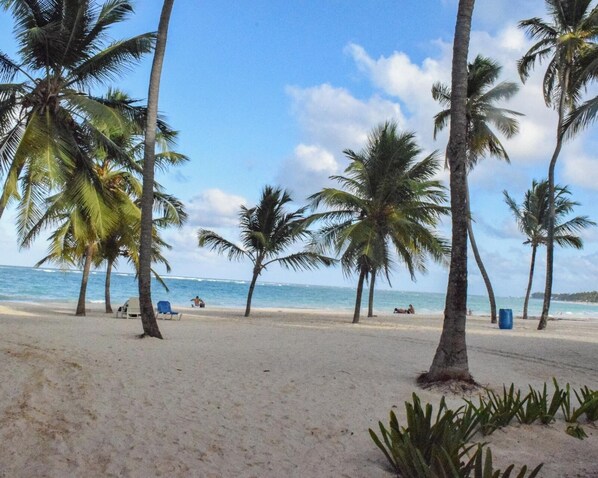 Playa