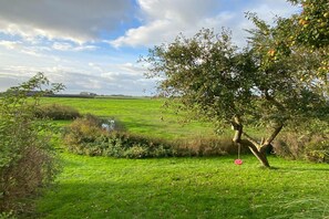 Trädgård [sommar]