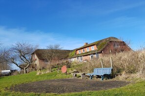 Stugans exteriör [sommar]