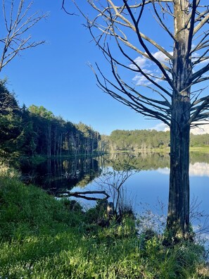lake view