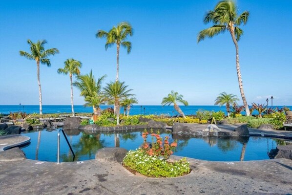 Pool located right on the ocean