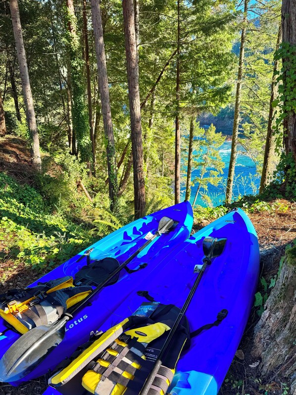 Welcome to your adventure in the Redwood Forest & the Wild & Scenic Smith River