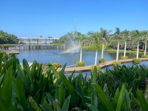 Pond in the front of resort looking out to beach and the pacific