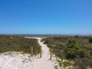 Strand