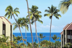 Just across the street from the waves!
