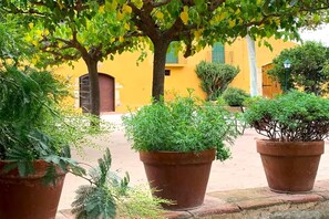 Terrasse / Balkon