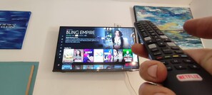 Fernseher