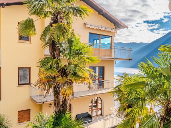 Strauch, Haus, Zuhause, Bauernhaus, Hütte, Estate, Garten, Landscaping, Hazienda