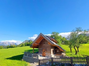 Exteriör