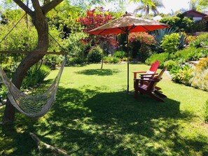 Back yard