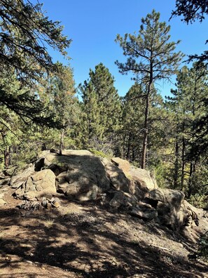 The walk up the hill on our property with many rock outcroppings.