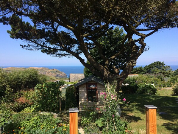 View from the decking area.
