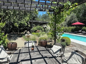 View of backyard from outdoor dining table. 
