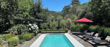 View of pool and Mayacamas Mountains from the back deck.