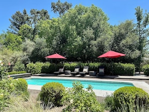 View of the pool toward the bocce court. 