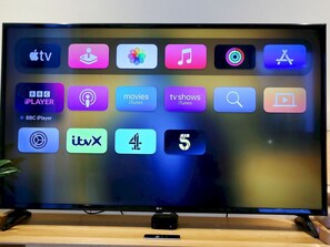 Television