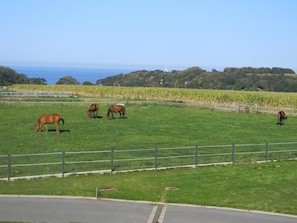 Vue du gite : vue mer à l'horizon