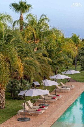 Surroundings, Sunbed, Garden, Outdoor furniture, Natural landspace, Swimming pool