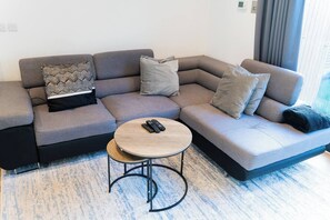Large sofa bed sleeps 2-3