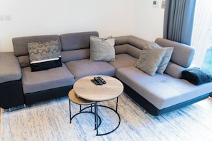 Large sofa bed sleeps 2-3