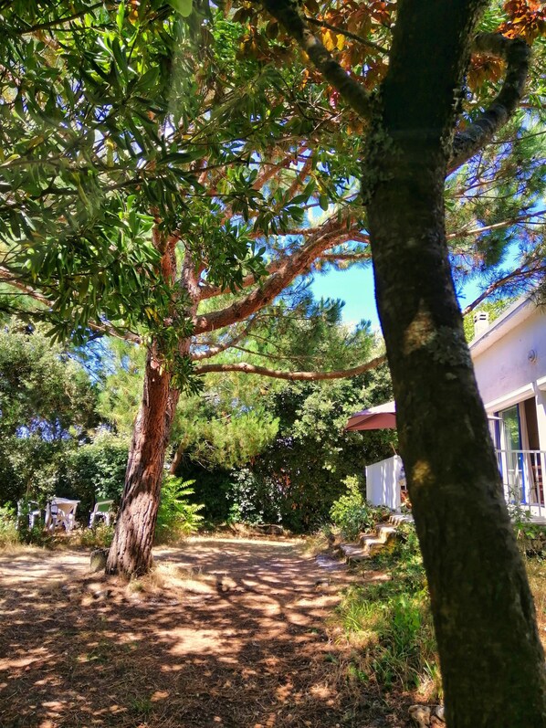 Property grounds