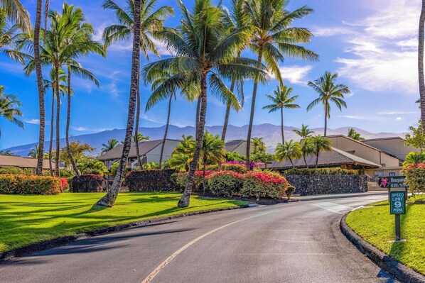 Lush 23 acre resort with Pools and Tennis