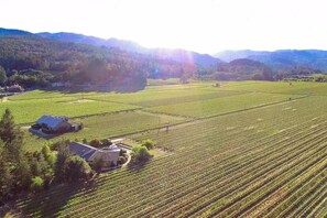 Breathtaking vineyard estate nestled in California’s wine country, surrounded by lush rolling hills and panoramic mountain views. Perfect for wine lovers, nature retreats, or peaceful getaways. Enjoy golden hour sunsets, spacious grounds, and a taste of l