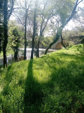 Property grounds