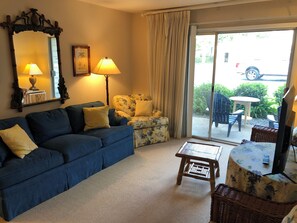 Living Room/Additional Sleeping Couch