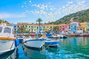 Scenic View, Summer